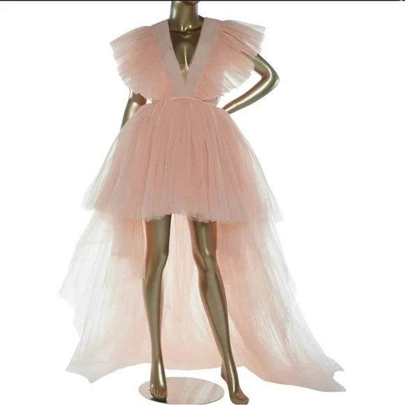Giambattista Valli | Dresses | Giambattista Valli X Hm Tulle Pink Dress |  Poshmark
